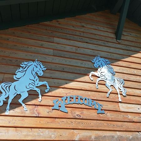 Вілла Wild Life Ranch Schofweg Екстер'єр фото