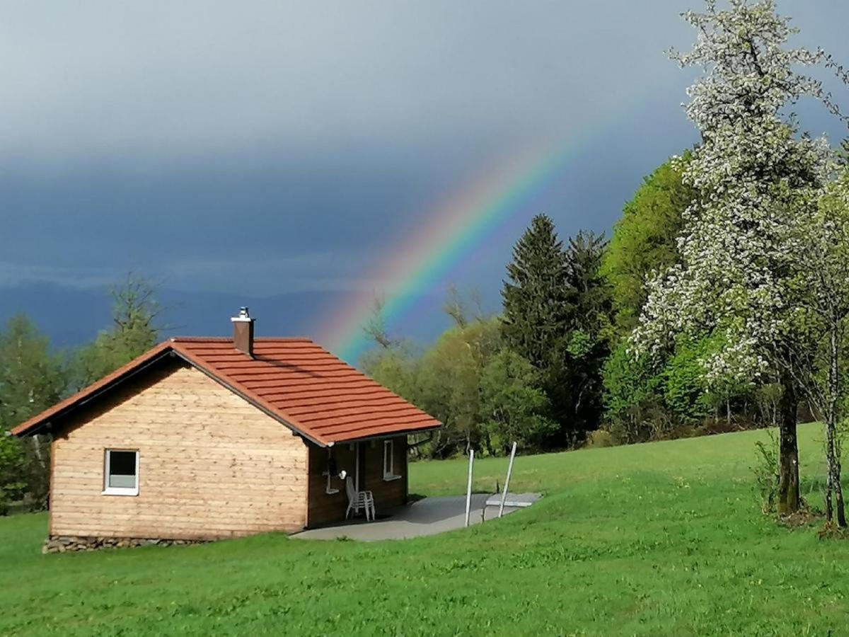 Вілла Wild Life Ranch Schofweg Екстер'єр фото
