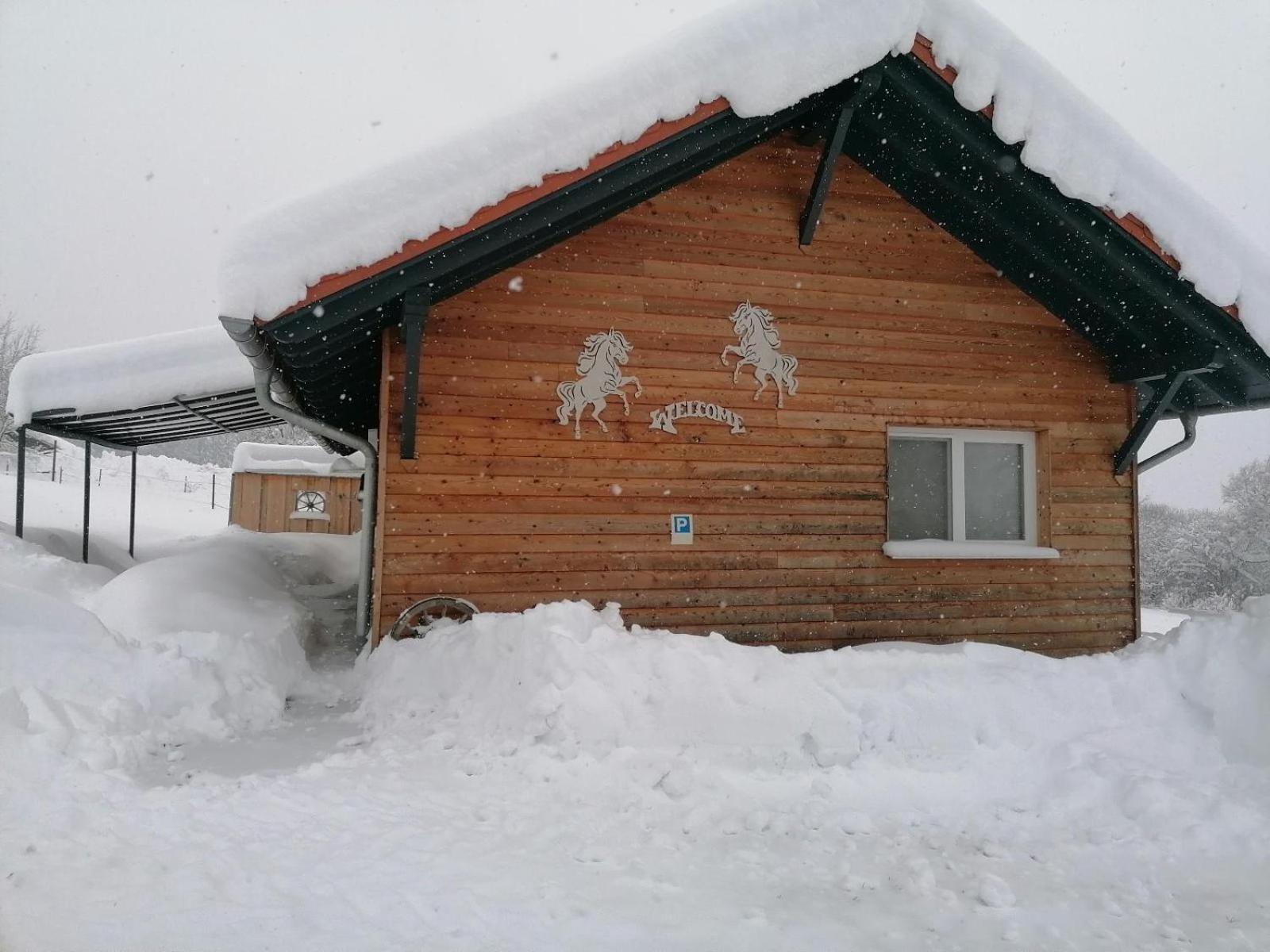 Вілла Wild Life Ranch Schofweg Екстер'єр фото