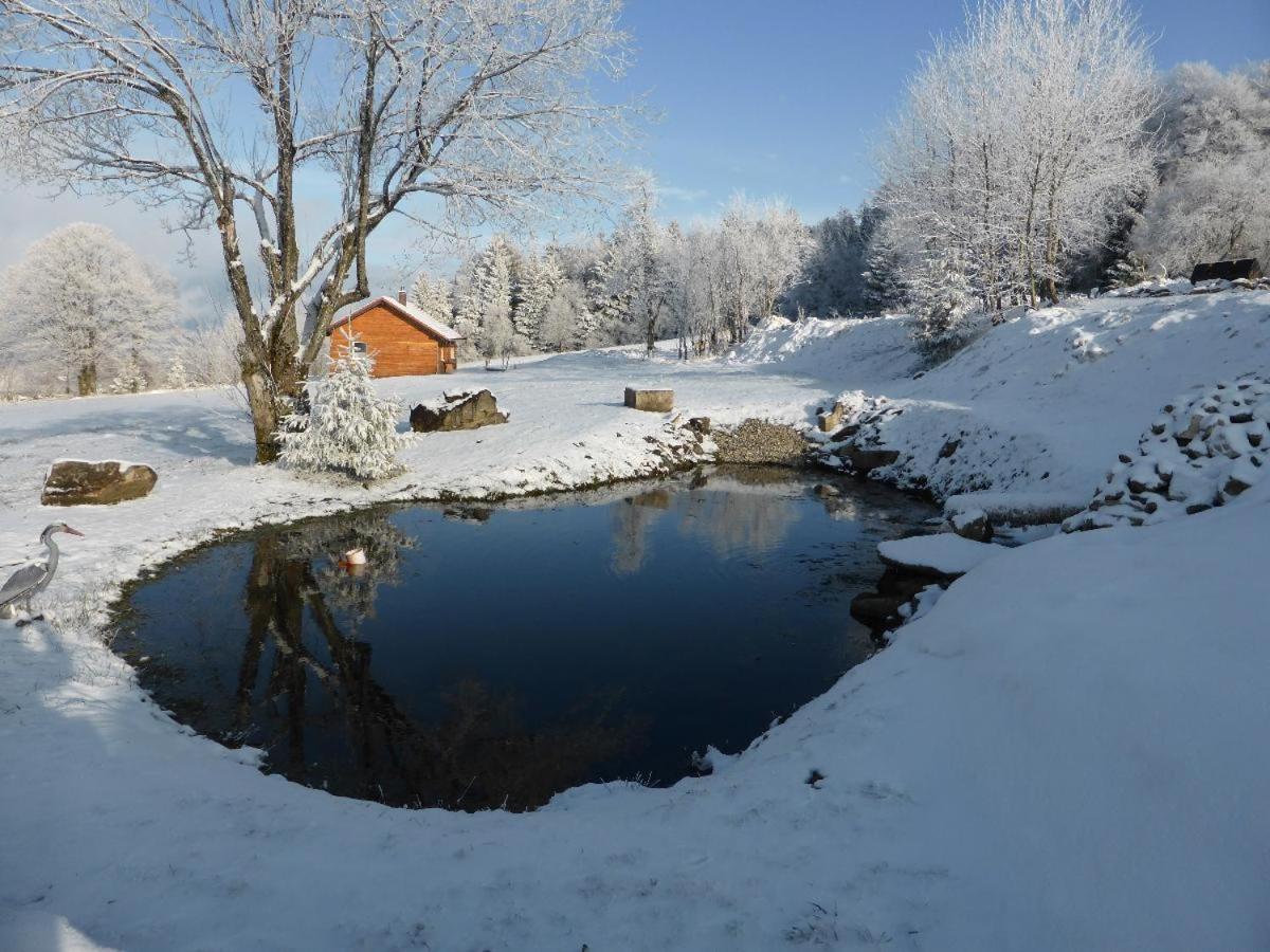 Вілла Wild Life Ranch Schofweg Екстер'єр фото