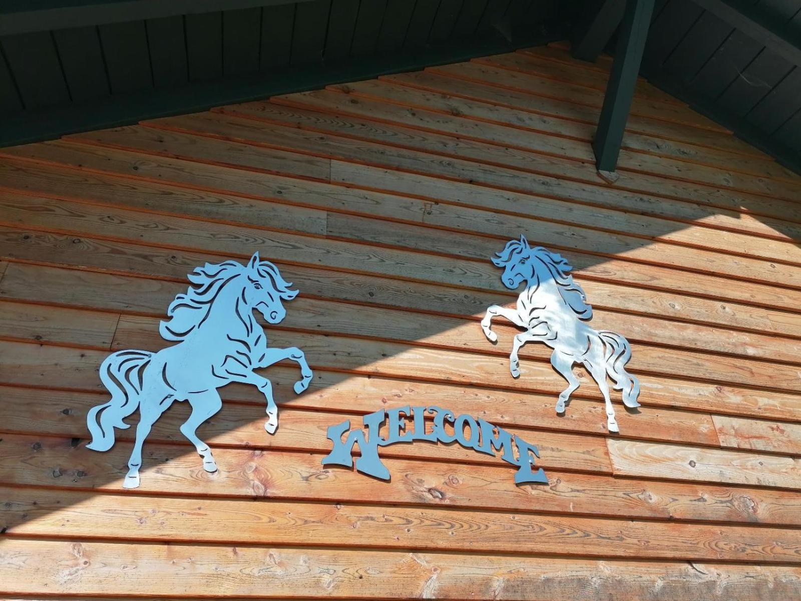 Вілла Wild Life Ranch Schofweg Екстер'єр фото